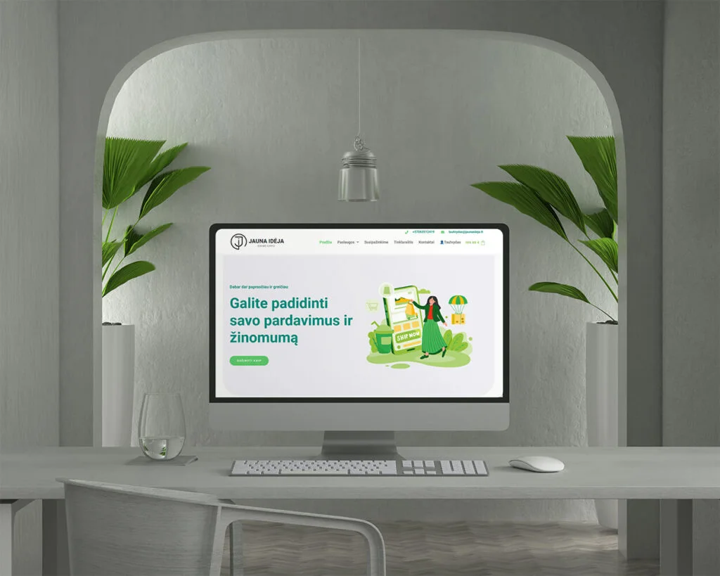 Creation of an electronic store