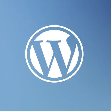 Wordpress mokymai
